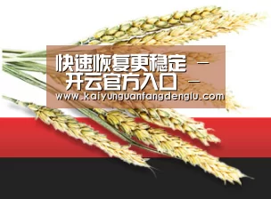 快速恢复更稳定 - 开云官方入口 - 注册登录