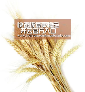 快速恢复更稳定 - 开云官方入口 - 注册登录