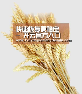 快速恢复更稳定 - 开云官方入口 - 注册登录