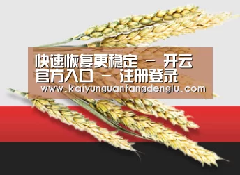 快速恢复更稳定 - 开云官方入口 - 注册登录